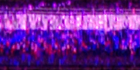 Blending Filament Punchy Purple Holographic - Kreinik