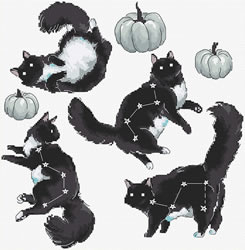 Borduurpakket Cat Constellation - Leti Stitch