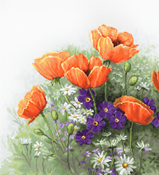 Cross stitch kit Poppies - Luca-S