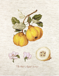 Cross stitch kit The Pear shaped Quince - Luca-S