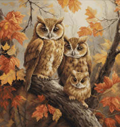 Borduurpakket The Owls Family - Luca-S