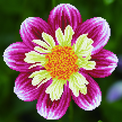 Diamond Dotz Daisy-A-Day - Needleart World