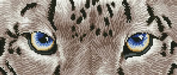 Diamond Dotz Snow Leopard Spy - Needleart World