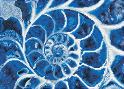 Diamond Dotz Blue Nautilus - Needleart World