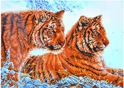Diamond Dotz Tigers in the Snow - Needleart World