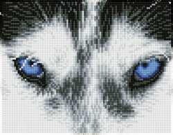 Diamond Dotz Mystic Husky - Needleart World