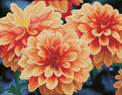 Diamond Dotz Peach Dahlias - Needleart World