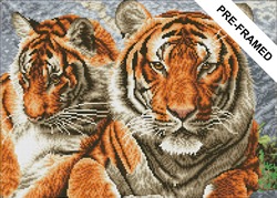 Diamond Dotz Pre-framed Kit - Tigers - Needleart World