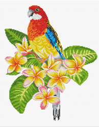 Pre-printed cross stitch kit Frangipanni Rosella - Needleart World