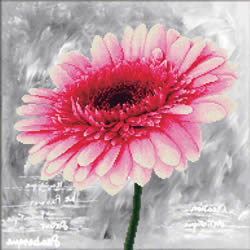 Voorbedrukt borduurpakket Pink Dahlia - Needleart World