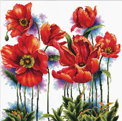 Pre-printed cross stitch kit Lovely Poppies - Needleart World