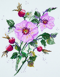 Cross Stitch Kit Wild Rose in May - PANNA