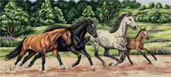 Borduurpakket Wild Horses - PANNA