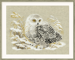 Borduurpakket White Owl - RIOLIS