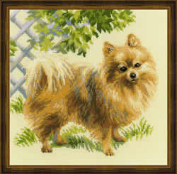 Cross Stitch Kit Pomeranian - RIOLIS