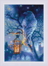 Cross stitch kit Wise Raven - RIOLIS