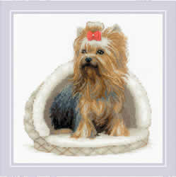 Borduurpakket Yorkshire Terrier - RIOLIS