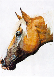 Borduurpatroon Palomino - Ross Originals