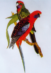 Borduurpatroon Crimson Rosellas - Ross Originals