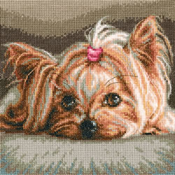 Cross stitch kit Pet - RTO