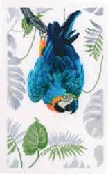 Cross stitch kit Macaw  - RTO