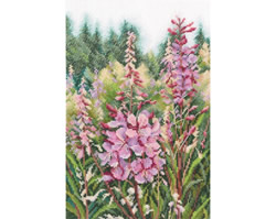 Cross stitch kit Raspberry Candles of Willowherbs - RTO