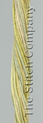 Skein 6-ply Distant Grass - Valdani