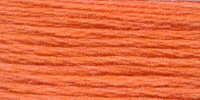 Venus Embroidery Floss #25 - 2112