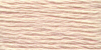 Venus Embroidery Floss #25 - 2681