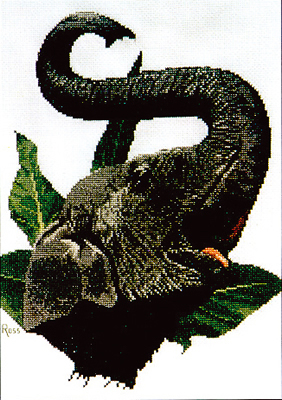 Cross Stitch Chart Indian Elephant - Ross Originals