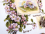 Cross stitch kit Spring Sampler - Merejka