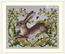 Cross stitch kit The Hare - Merejka