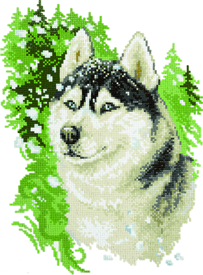 Diamond Painting Husky - Freyja Crystal