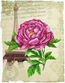 Pre-printed cross stitch kit Romantic Rose - Needleart World