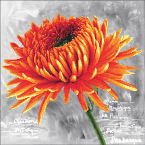 Voorbedrukt borduurpakket Orange Dahlia - Needleart World