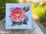 Cross stitch kit Rose - Merejka