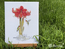 Cross stitch kit Amaryllis - Merejka