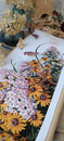 Cross stitch kit Black Eyed Susans and Phlox - Merejka