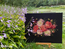 Cross stitch kit Dahlias - Merejka