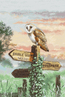 Cross stitch kit Barn Owl - Leti Stitch