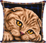 Cross stitch kit Scottish Fold Cat - PANNA