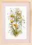 Cross stitch kit White Daisies - Magic Needle