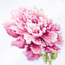 Cross stitch kit Peony - Magic Needle