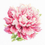 Cross stitch kit Peony - Magic Needle