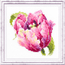 Cross stitch kit Pink Tulit - Magic Needle