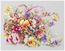 Cross stitch kit Pansy Bouqet - Magic Needle