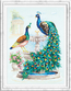 Cross stitch kit Peacocks - Magic Needle