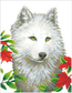 Diamond Dotz White Wolf - Needleart World