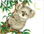 Diamond Dotz Koala Snack - Needleart World