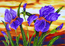 Diamond-Dotz-Iris-Sunset-Needleart-World